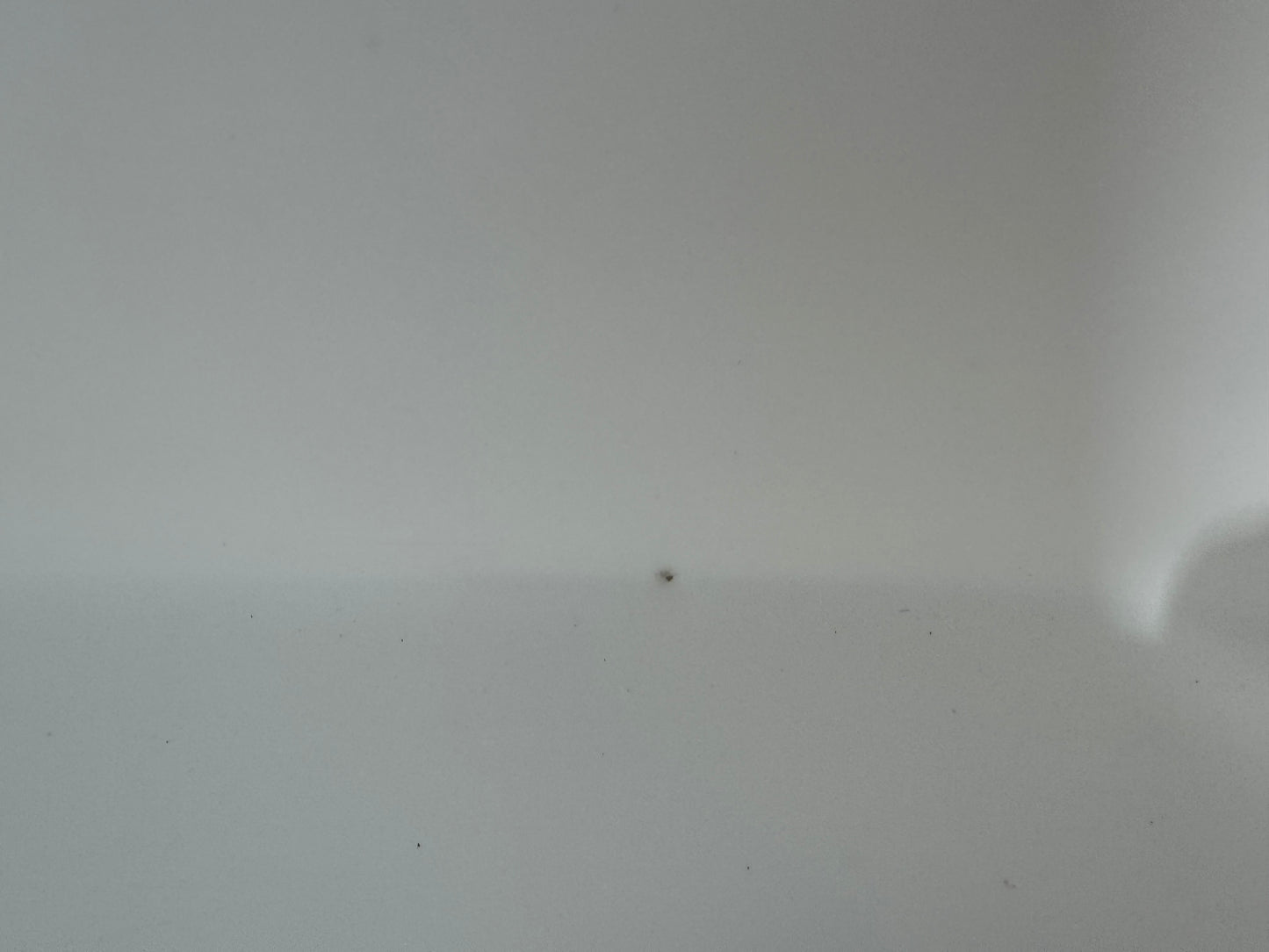 Scratch and Dent 50 gal w/ filter system White Inner Creek Bank Tanks Version 2-4