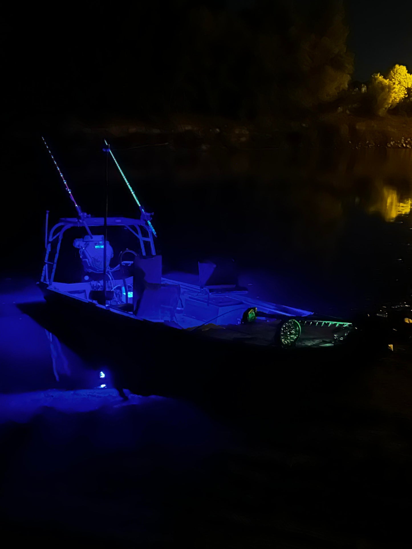 Black oak lights