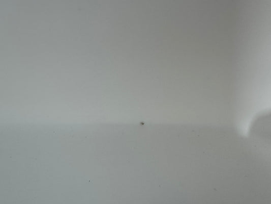 Scratch and Dent 50 gal w/ filter system  White Inner Creek Bank Tanks Version 2-4